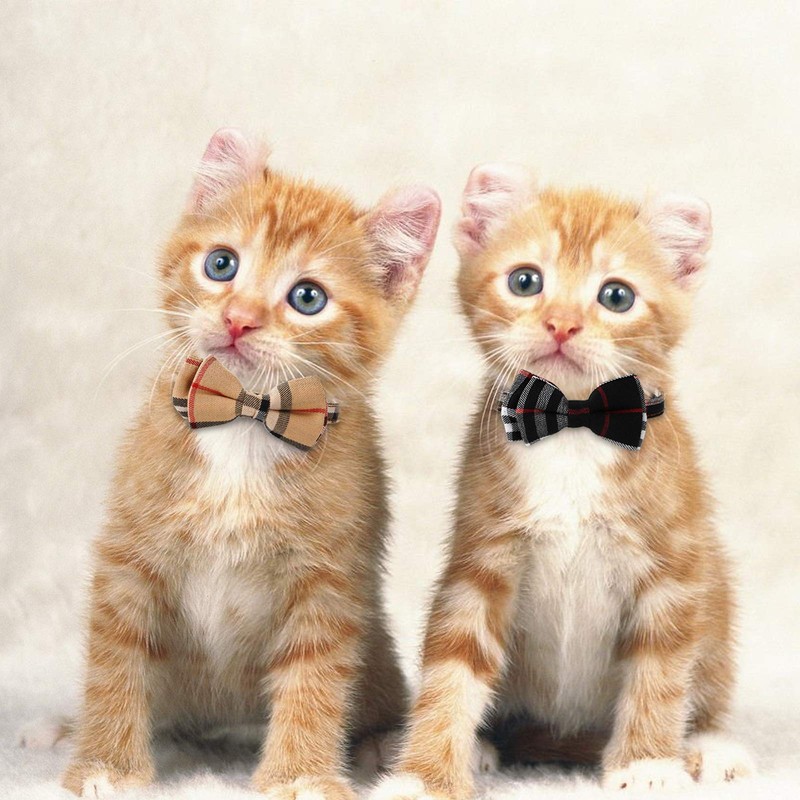 Imikoko 2 Pack Cat Collars, with Adjustable Breakaway Bowtie and