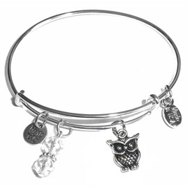 Hidden Hollow Beads Women's Stainless Steel Message Charm Expandable Wire Bangle Bracelet, Popular Stacking Bracelets, Arrives in a Gift Bag. (Dragonfly) (Owl)