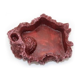 AYVRUOP Reptile Water Tray, Terrarium Accessories, Turtle Terrarium, Durable, Simulates a Wild Environment, Suitable for Most Small Climbing Pets, Burgundy red