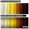 Grey Hair Colour Headshot Grey Skull Semi-Permanent Hair Dye 150
