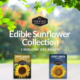Survival Garden Seeds Edible Sunflower Seed Vault - Gigantic Flowers with Delicious Seeds - Mammoth Sunflower & Oil-Rich Black Russian Sunflower Seeds - Non-GMO Heirloom Seeds for Planting & Growing