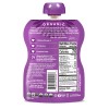Mamma Chia Blackberry Bliss Organic Fruit Snack 3.5 Ounce Pack