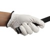 TRANS CONTINENTS TCSF-1901 Men's Golf Gloves All Weather Synthetic Leather