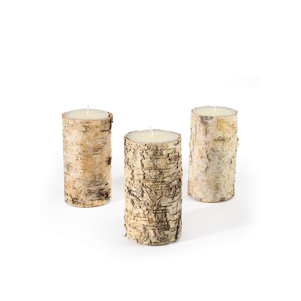 Serene Spaces Living Birch Bark Candle, Set of 3 Medium