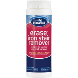 BioGuard Erase Iron Stain Remover 1.75 lb, Highly Effective Pool Stain Remover