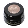 PRE GEL Color EX Mist Brown 0.1 oz (3 g)