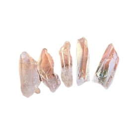Lemurian Seed Crystal, or Lemurian Quartz from Brazil Raw Natural Rough Crystal Healing Gemstones - 5 piece set #2