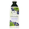The Angelica – Shampoo Seboregolatore Nettle Stings And Myrtle, Fat