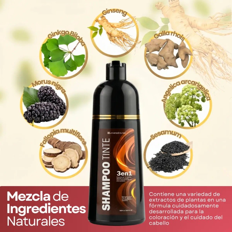 Shampoo Tinte Cubre Canas Natural Jengibre 500ml Pzs