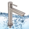 Kitchen Faucet Single Hole Stainless Steel Single Cold Sink Faucet