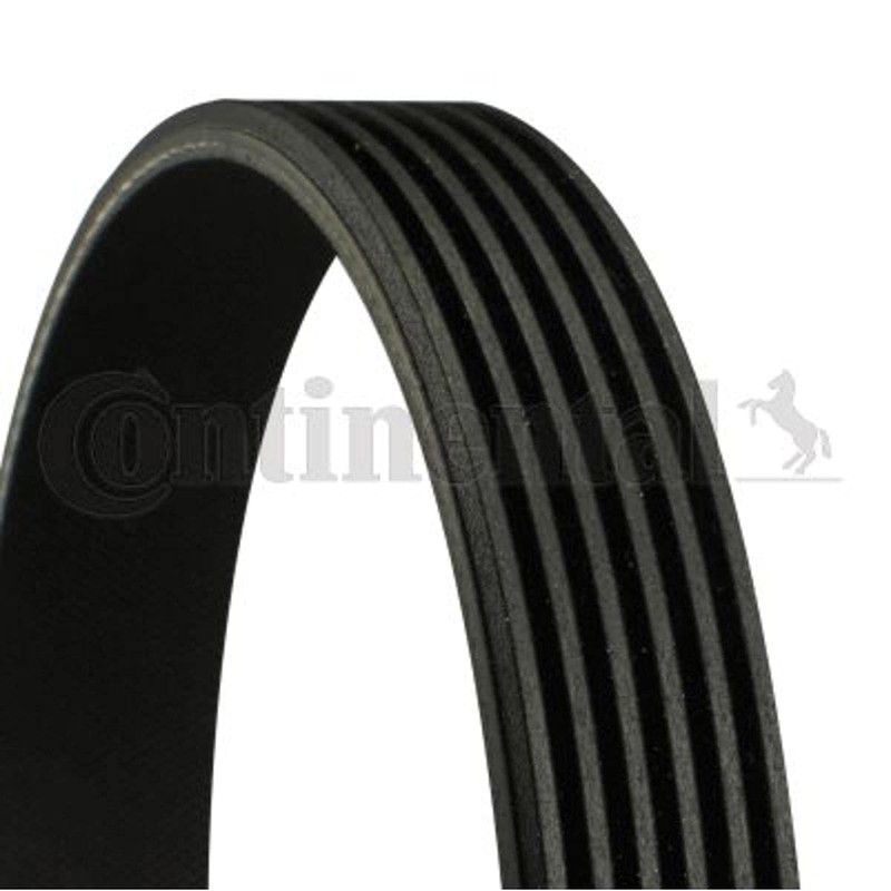 CONTITECH 6PK1520 V-Ribbed Belt