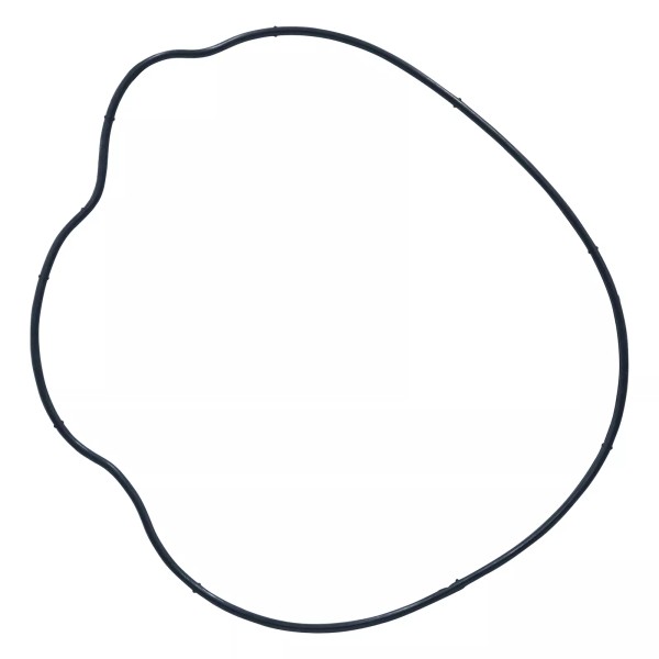 Celox for Polaris 5412458 Stator Cover Gasket O-Ring