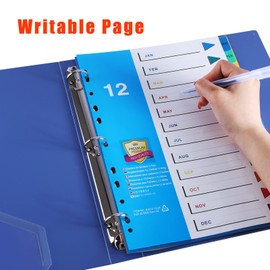 (10 Pack) DONGLI A4 File Dividers 12 Part Numbered Jan-Dec, Subject Divider with 11 Hole Reinforced Colour Month Index Tabs for Home Office