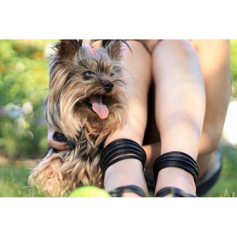 Jolly Pets Monster Mouth Oval Dog Toy/Treat Holder