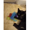 Vibrant Life Cat toys for indoor cats 3 Pack.