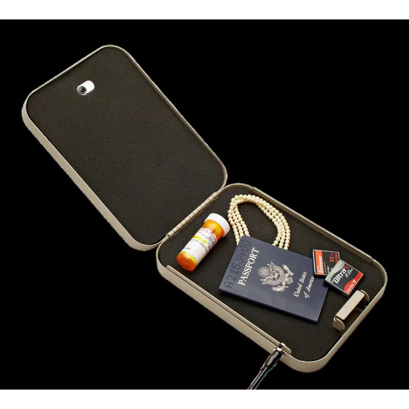 SnapSafe Portable Lock Box XL With Security Cable, 10" x