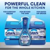 P&G PROFESSIONAL Dawn Professional Pot and Pan Detergent, Regular Scent,