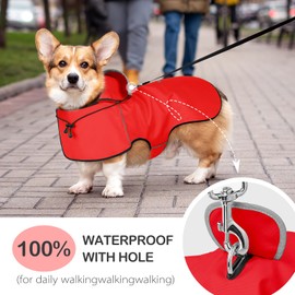 DQGHQME Puppy Raincoat, Waterproof Dog Raincoat for Small Dogs, Mint Green, Small Size, Polyester, Acrylic, Hunting, Dog Raincoat