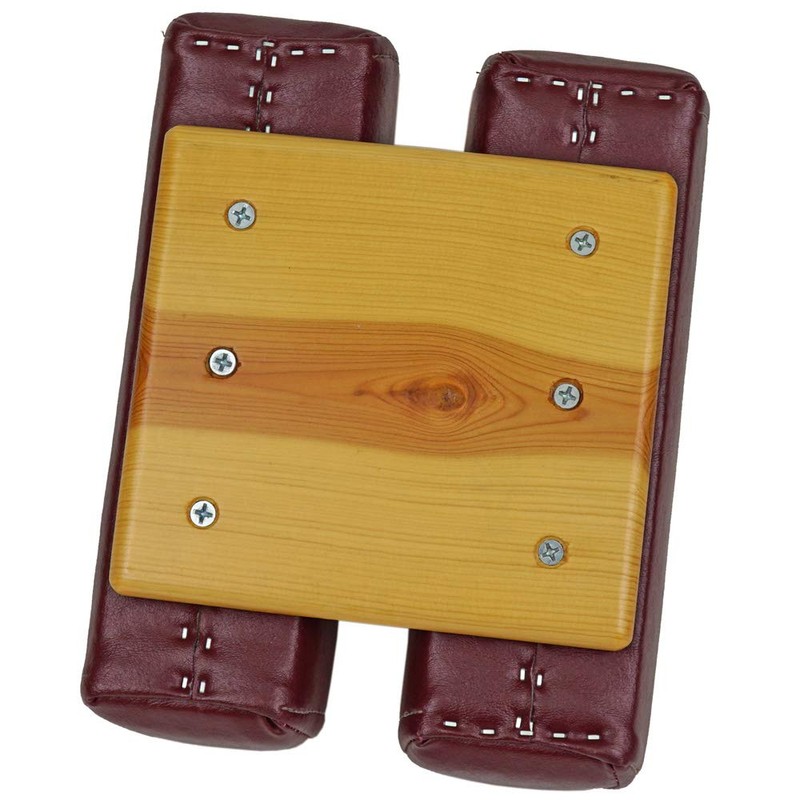 LLOYD (Lloyd) [Lloyd] Anteria Dorsal Plate is a plate used