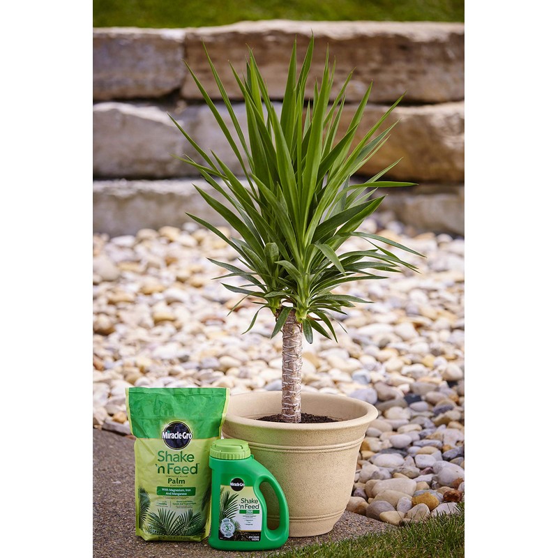 Miracle-Gro Shake 'N Feed Palm Plant Food, 8 lb., Feeds
