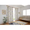 Suminoe A1001 Curtain Gray, 39.4 x 53.1 inches (100 x