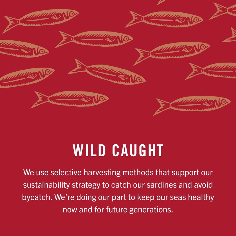 King Oscar Sardines in Olive Oil, 4.38 Ounce Cans (Pack