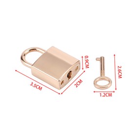 Leadigol 2PCS Mini Metal Lock, Square Lock with Key, Mini Padlock for Jewelry Storage Box Diary Luggage Handbag Gift, Vintage Old Antique Style Padlocks