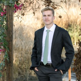 JNJSTELLA Men's Classic Solid Color Necktie 3.15" Tie, Sage Green, One Size