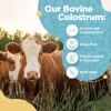 InstaSkinCare Bovine Colostrum Powder Highly Concentrated Pure Bovine 3.17 oz