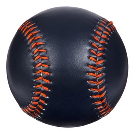 Pro Mark WB-2272 Weight Trainer Ball 350