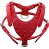 Haoyueer Leather Sharp Spiked Studded Dog Collars, Harnesses & Leashes
