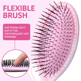 Daily Gard Detangler Hair Brush, Dry and Wet Detangling Hair Brush for Women and Men, Paddle Hairbrush for Wet/Dry/Curly/Thick/Long/Wavy/Damaged Hair, Pink