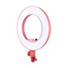 Godox LR180 Daylight Ringlight (Pink)