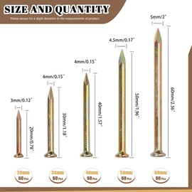 Wokape 300Pcs Multi-Color Galvanized Steel Nail Kit, 20MM-60MM for Hanging Pictures, Wall Art, DIY Projects