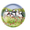 Emma Ball Colourful Round Tin Tea/Drinks Tray - Puffins in