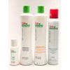 CHI enviro Smoothing treatment kit Highlighted Or Porous , SPRAY,