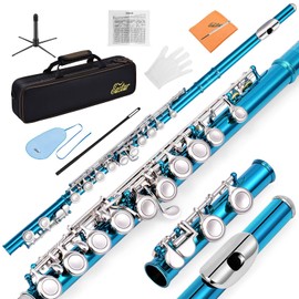 Eastar C Flauta con agujero cerrado de 16 teclas para principiantes y estudiantes, instrumento de flauta con tabla de dedos, kit de limpieza, soporte, estuche de transporte, guantes, barra de