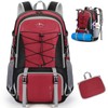 RAINSMORE Men's Backpack, Folding Backpack, 10.6 gal (40 L), Mountain