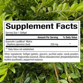 Natural Factors Quercetin LipoMicel Matrix - Supports Immune Health & Capillary Health - Antioxidant Support Supplement with Highly Absorbable Quercetin - 120 Softgels (120 Servings)
