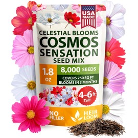 HOME GROWN Cosmos Flower Seeds Bulk Pack for 2025 (1.8 oz) 8,000+ 𝗡𝗢𝗡-𝗚𝗠𝗢 𝗨𝗦𝗔-𝗦𝗢𝗨𝗥𝗖𝗘𝗗 Heirloom Annual Wildflower Seeds – Pollinator-Friendly Mix for Pollinators & Outdoor Gardens