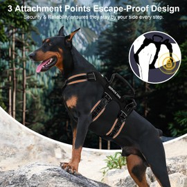 Escape Proof Dog Harness for Large Medium Sized Dogs Six Point Adjustable, Service Dog Vest Harness and Leash Set, No Pull Dogs Harnesses with Handle, XL Dog Harnesses for Walking(Black, L)