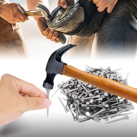 VEGXPET 250pcs E5 Horseshoe Nails 2 Inch Stainless Steel Horseshoe Nails Nails Horse Hoof Nails Horseshoe Tools for Stained Glass,Horse Training Equestrian Sports