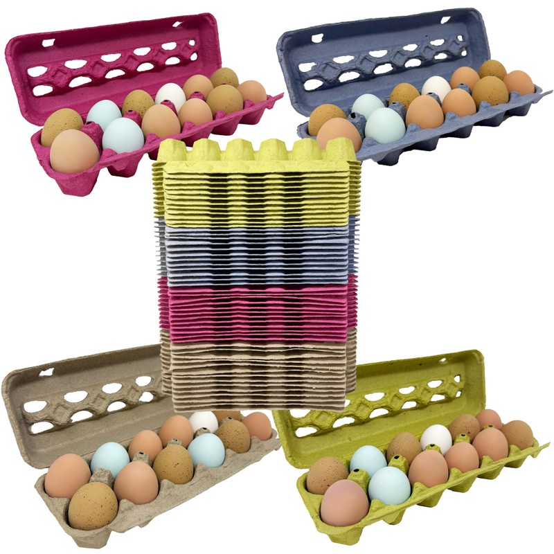 Paper Pulp Egg Cartons - Assorted Colors - 50 Pack