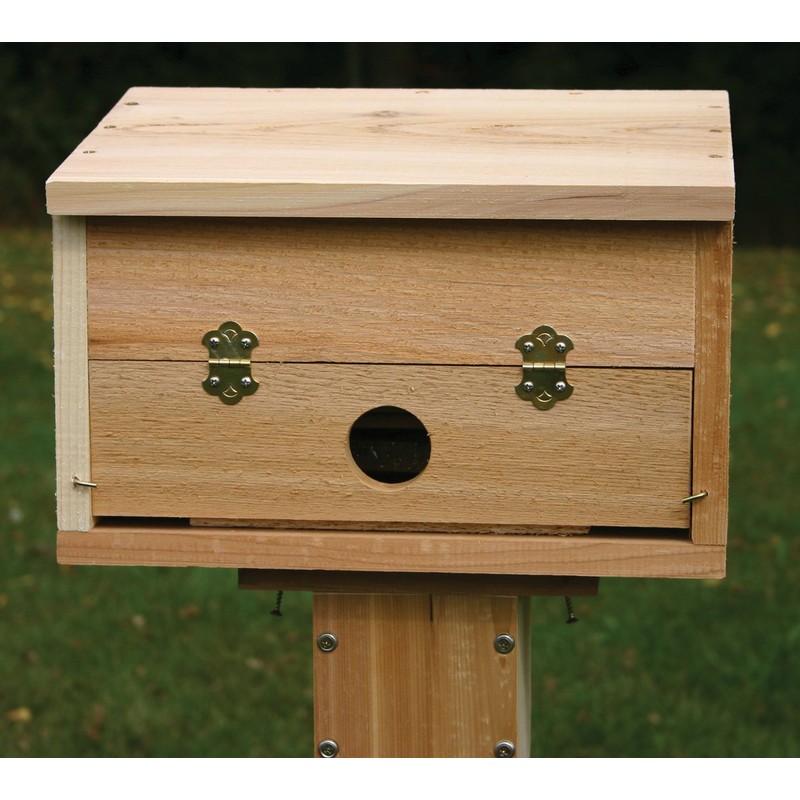 Stovall 15H Roosting Box