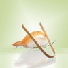 PAPSTAR 10 Fingerfood - Zangen 10 cm