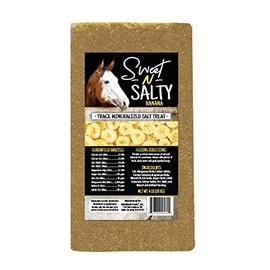 Kalmbach Feeds Sweet N Salty Banana Flavored Salt Treat Brick for Horses, 4 lb