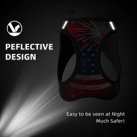 Groamaup Fireworks Flag Reflective Dog Harness with Leash, Soft Vest Harness for Small Medium Large Dog Puppy Pets (Medium Size)