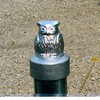 Single Tube Cap Character Cap Owl 11 – C –