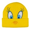 AI ACCESSORY INNOVATIONS Looney Tunes Tweety Bird Cuff Beanie, Jacquad