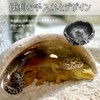 Reptile water bowl, natural rock design water tray, lizard, turtle,